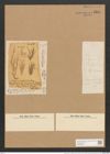 Berkeleya rutilans var. implicata (Harv.) Grun. (de-Toni-Nr.: Genus 21, Species 1218) Zeichnungen Sammlung Grunow Nr. 2351 (NHMW-BOT-W0369482)
